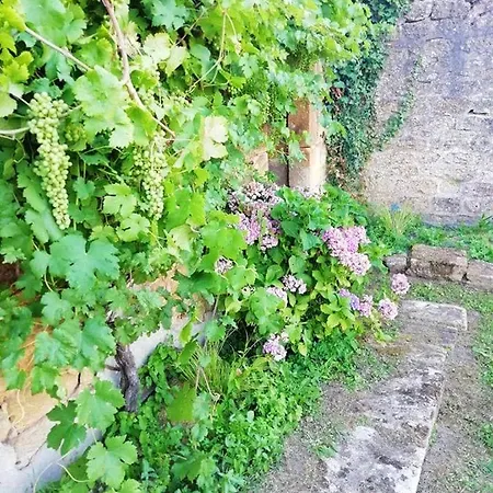 Casa vacanze House With 3 Bedrooms In With Enclosed Garden Montmedy